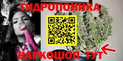 гидропоника Коммунар